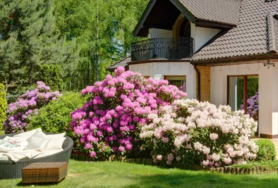 buying-a-vancouver-wa-home Buying a Vancouver WA home